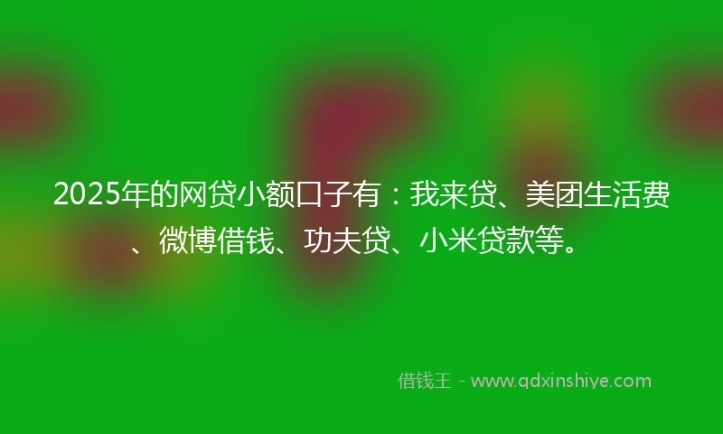 2025年的网贷小额口子有：我来贷、美团生活费、微博借钱、功夫贷、小米贷款等。