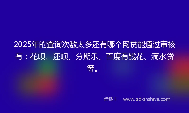 2025年的查询次数太多还有哪个网贷能通过审核有：花呗、还呗、分期乐、百度有钱花、滴水贷等。