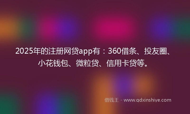 2025年的注册网贷app有：360借条、投友圈、小花钱包、微粒贷、信用卡贷等。
