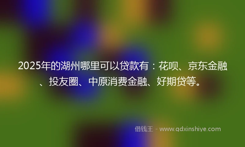 2025年的湖州哪里可以贷款有：花呗、京东金融、投友圈、中原消费金融、好期贷等。