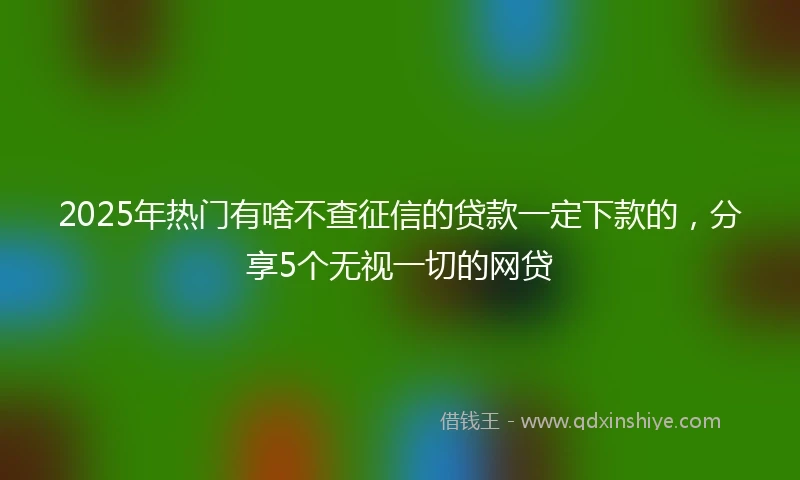 2025年热门有啥不查征信的贷款一定下款的，分享5个无视一切的网贷