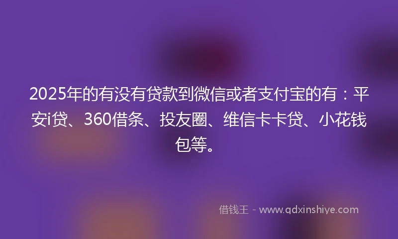 2025年的有没有贷款到微信或者支付宝的有：平安i贷、360借条、投友圈、维信卡卡贷、小花钱包等。