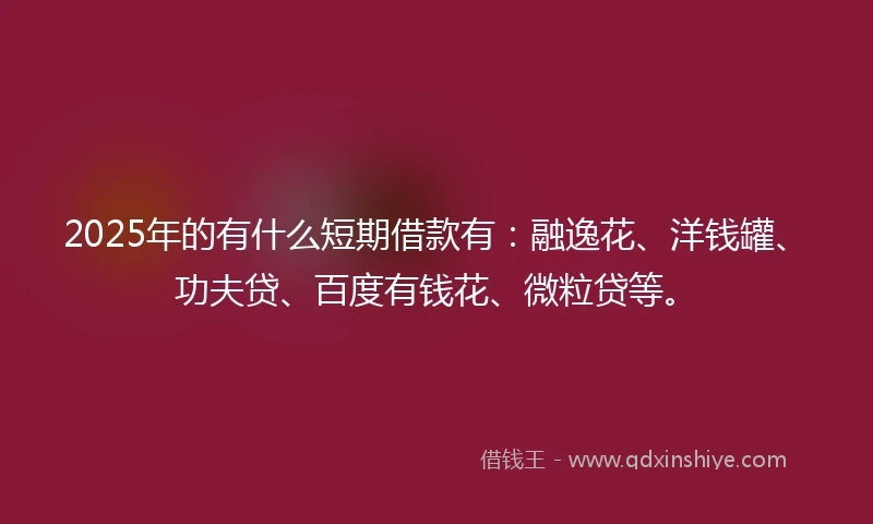 2025年的有什么短期借款有：融逸花、洋钱罐、功夫贷、百度有钱花、微粒贷等。