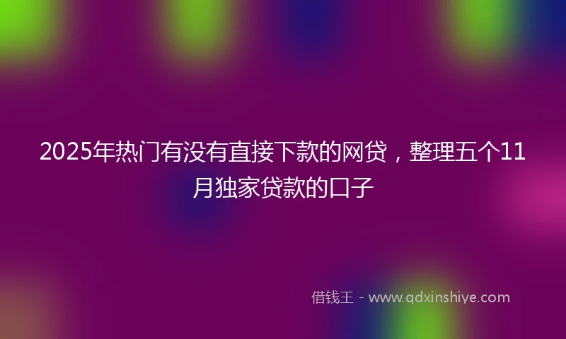 2025年热门有没有直接下款的网贷，整理五个11月独家贷款的口子