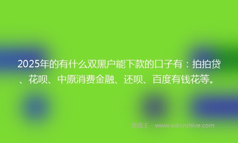 2025年的有什么双黑户能下款的口子有：拍拍贷、花呗、中原消费金融、还呗、百度有钱花等。
