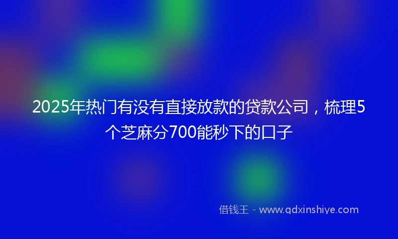 2025年热门有没有直接放款的贷款公司，梳理5个芝麻分700能秒下的口子
