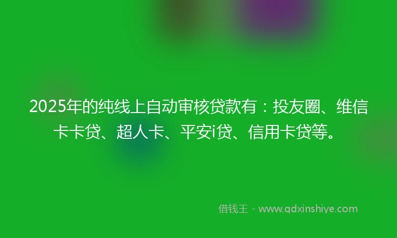 2025年的纯线上自动审核贷款有：投友圈、维信卡卡贷、超人卡、平安i贷、信用卡贷等。