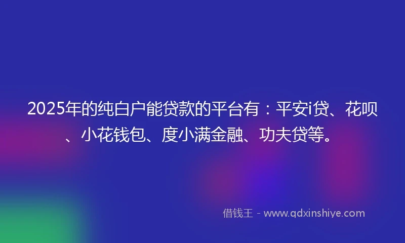 2025年的纯白户能贷款的平台有：平安i贷、花呗、小花钱包、度小满金融、功夫贷等。