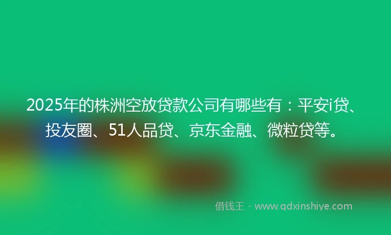 2025年的株洲空放贷款公司有哪些有：平安i贷、投友圈、51人品贷、京东金融、微粒贷等。