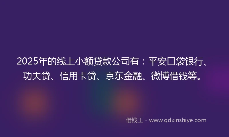 2025年的线上小额贷款公司有：平安口袋银行、功夫贷、信用卡贷、京东金融、微博借钱等。