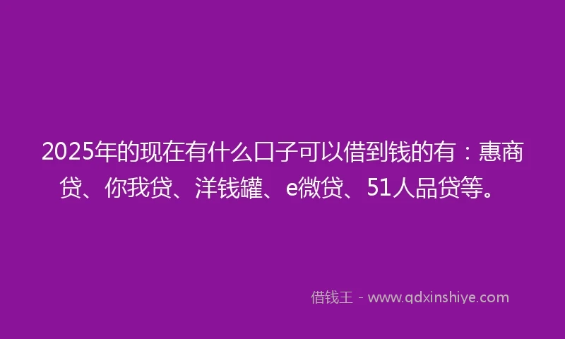 2025年的现在有什么口子可以借到钱的有：惠商贷、你我贷、洋钱罐、e微贷、51人品贷等。