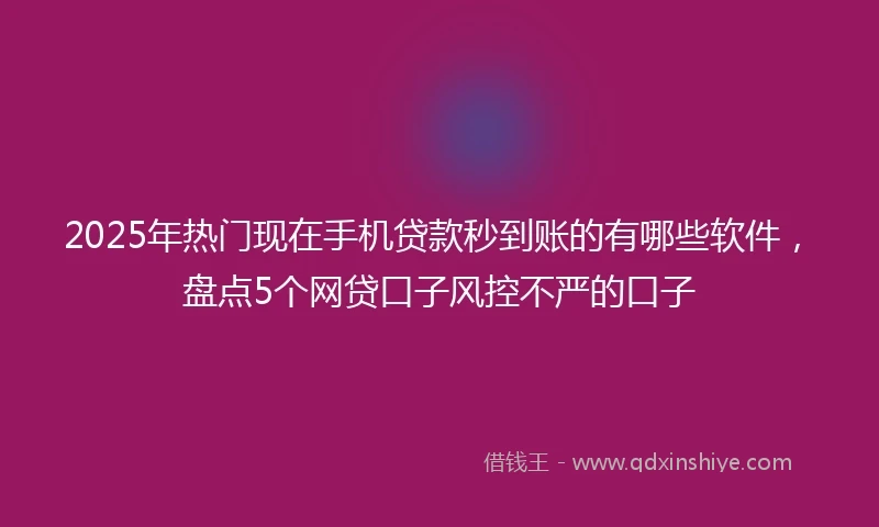 2025年热门现在手机贷款秒到账的有哪些软件，盘点5个网贷口子风控不严的口子