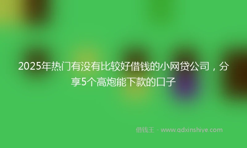 2025年热门有没有比较好借钱的小网贷公司，分享5个高炮能下款的口子
