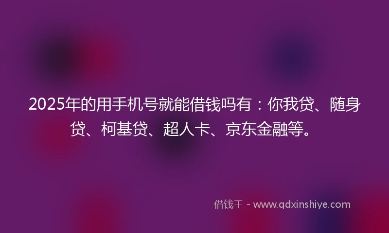 2025年的用手机号就能借钱吗有：你我贷、随身贷、柯基贷、超人卡、京东金融等。
