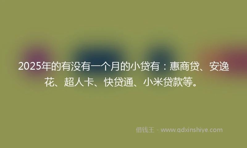 2025年的有没有一个月的小贷有：惠商贷、安逸花、超人卡、快贷通、小米贷款等。