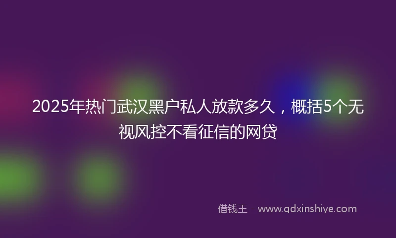 2025年热门武汉黑户私人放款多久，概括5个无视风控不看征信的网贷