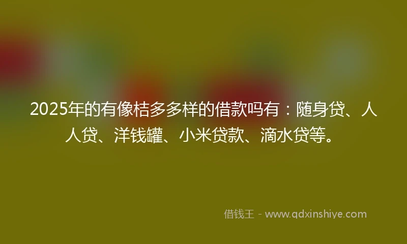 2025年的有像桔多多样的借款吗有：随身贷、人人贷、洋钱罐、小米贷款、滴水贷等。