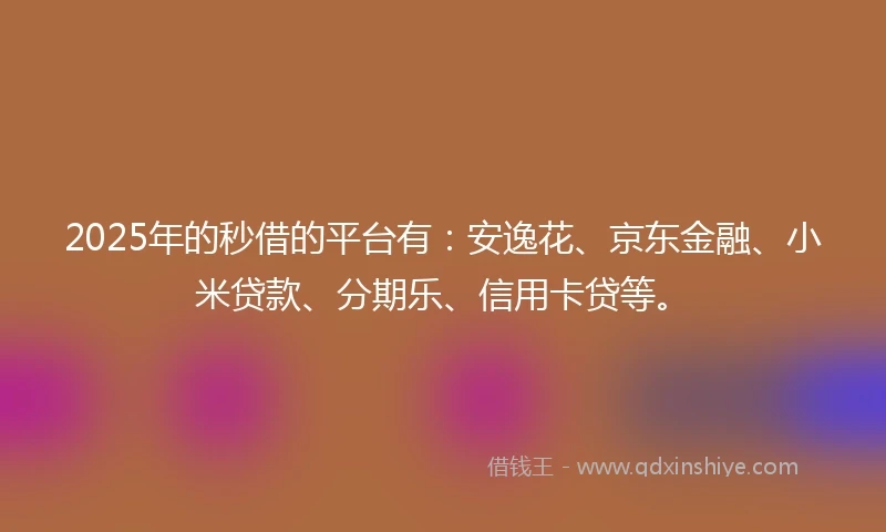 2025年的秒借的平台有：安逸花、京东金融、小米贷款、分期乐、信用卡贷等。