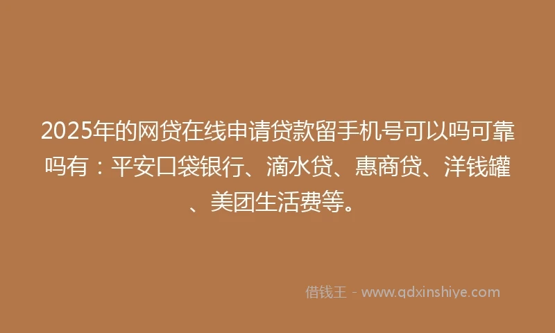 2025年的网贷在线申请贷款留手机号可以吗可靠吗有：平安口袋银行、滴水贷、惠商贷、洋钱罐、美团生活费等。