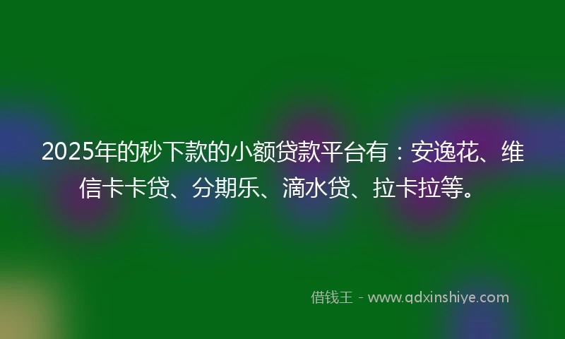 2025年的秒下款的小额贷款平台有：安逸花、维信卡卡贷、分期乐、滴水贷、拉卡拉等。