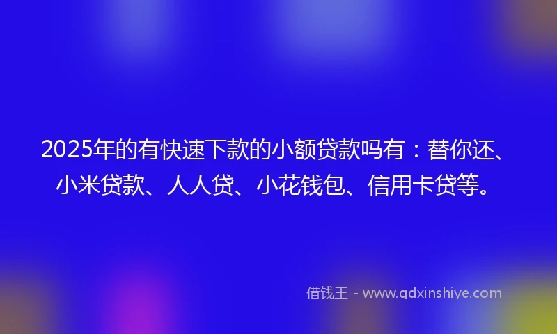 2025年的有快速下款的小额贷款吗有：替你还、小米贷款、人人贷、小花钱包、信用卡贷等。