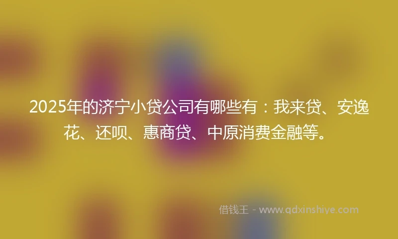 2025年的济宁小贷公司有哪些有：我来贷、安逸花、还呗、惠商贷、中原消费金融等。