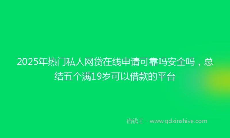 2025年热门私人网贷在线申请可靠吗安全吗，总结五个满19岁可以借款的平台