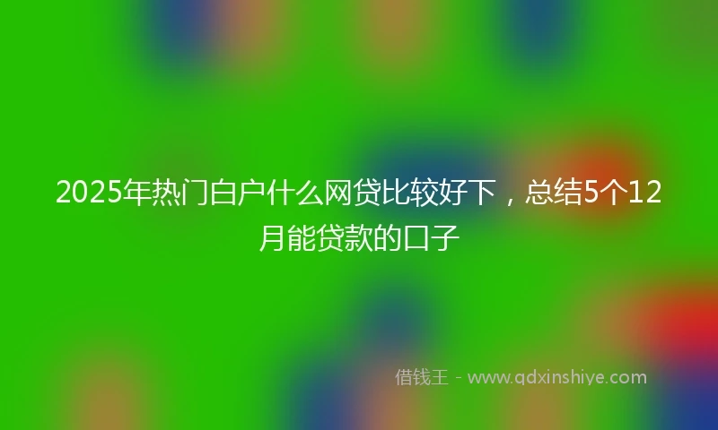 2025年热门白户什么网贷比较好下，总结5个12月能贷款的口子
