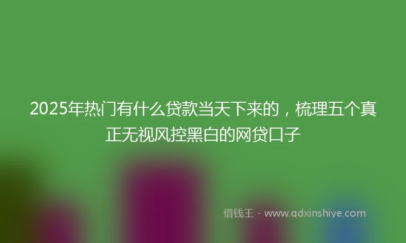 2025年热门有什么贷款当天下来的，梳理五个真正无视风控黑白的网贷口子