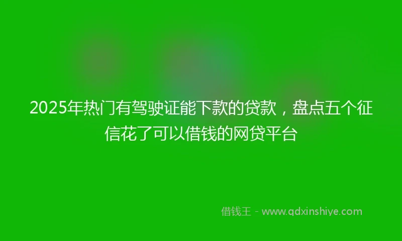 2025年热门有驾驶证能下款的贷款，盘点五个征信花了可以借钱的网贷平台