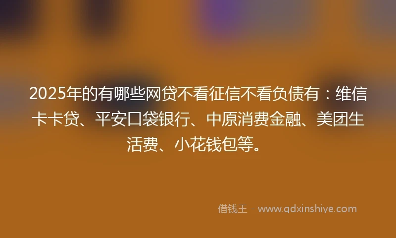 2025年的有哪些网贷不看征信不看负债有：维信卡卡贷、平安口袋银行、中原消费金融、美团生活费、小花钱包等。