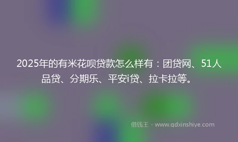 2025年的有米花呗贷款怎么样有：团贷网、51人品贷、分期乐、平安i贷、拉卡拉等。