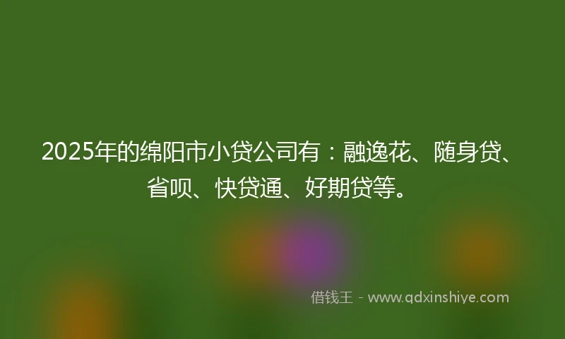 2025年的绵阳市小贷公司有:融逸花、随身贷、省呗、快贷通、好期贷等。