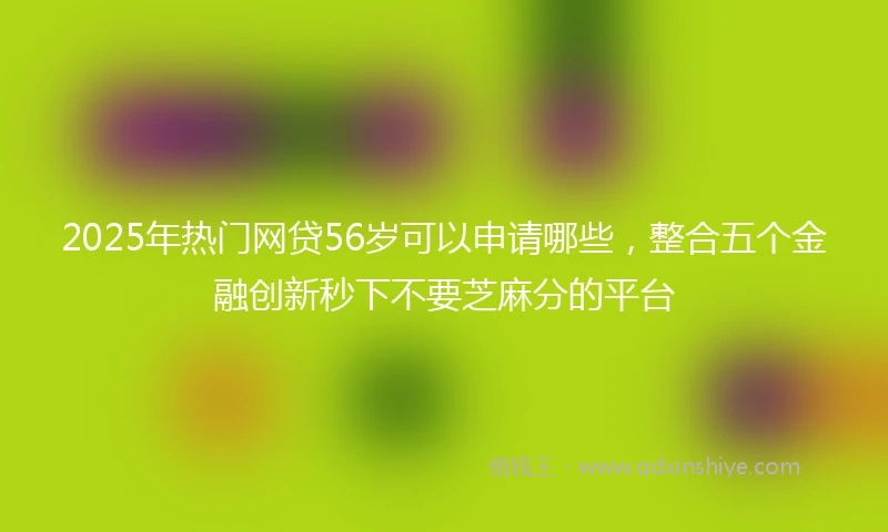 2025年热门网贷56岁可以申请哪些，整合五个金融创新秒下不要芝麻分的平台