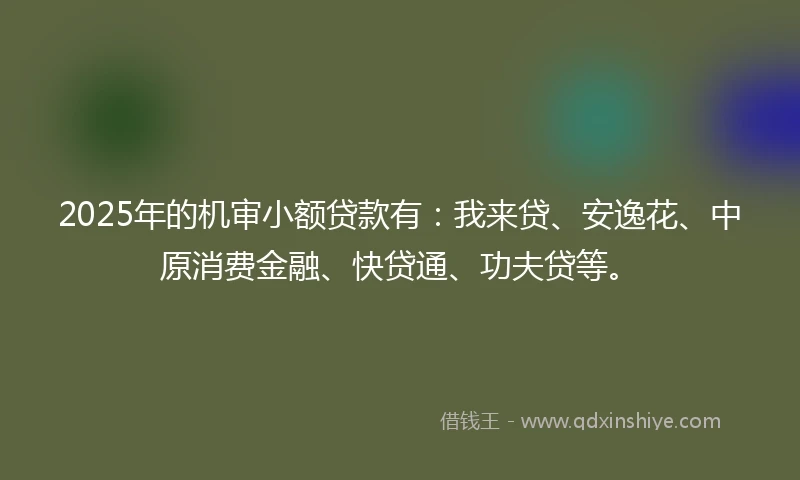 2025年的机审小额贷款有：我来贷、安逸花、中原消费金融、快贷通、功夫贷等。