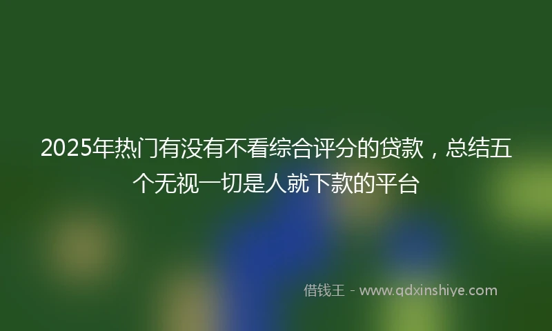 2025年热门有没有不看综合评分的贷款，总结五个无视一切是人就下款的平台