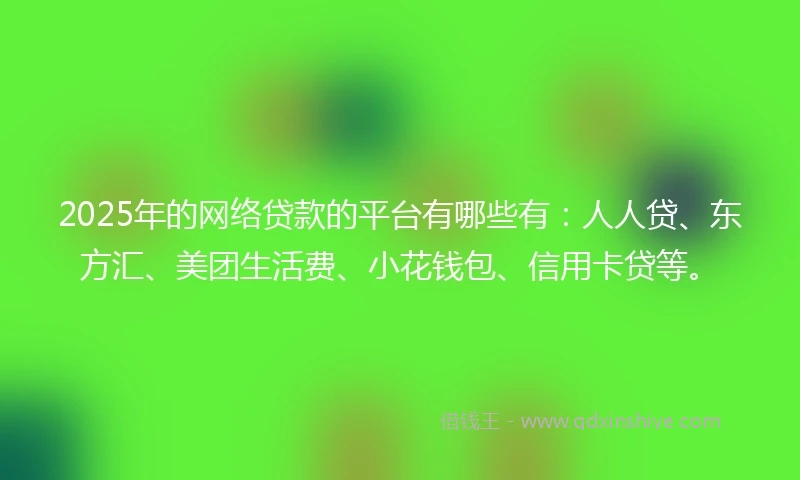 2025年的网络贷款的平台有哪些有：人人贷、东方汇、美团生活费、小花钱包、信用卡贷等。