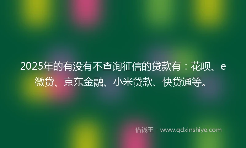 2025年的有没有不查询征信的贷款有：花呗、e微贷、京东金融、小米贷款、快贷通等。