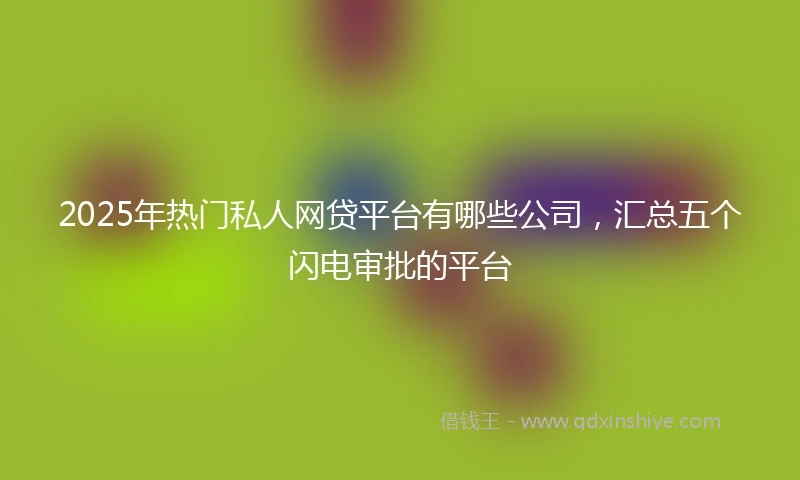 2025年热门私人网贷平台有哪些公司，汇总五个闪电审批的平台