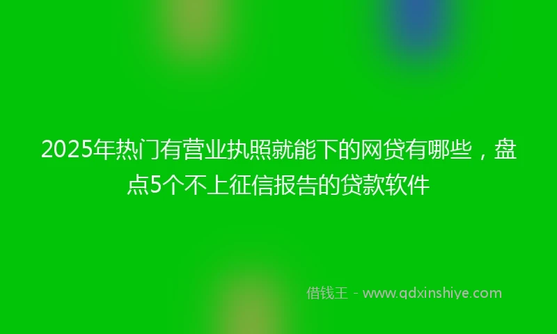 2025年热门有营业执照就能下的网贷有哪些，盘点5个不上征信报告的贷款软件