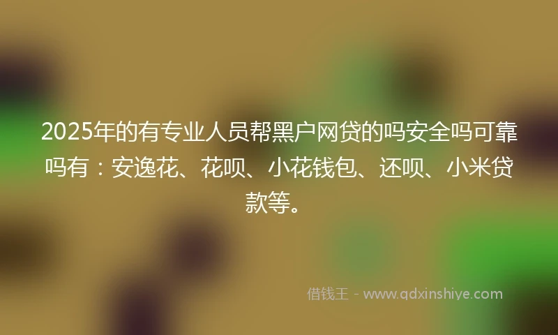2025年的有专业人员帮黑户网贷的吗安全吗可靠吗有：安逸花、花呗、小花钱包、还呗、小米贷款等。