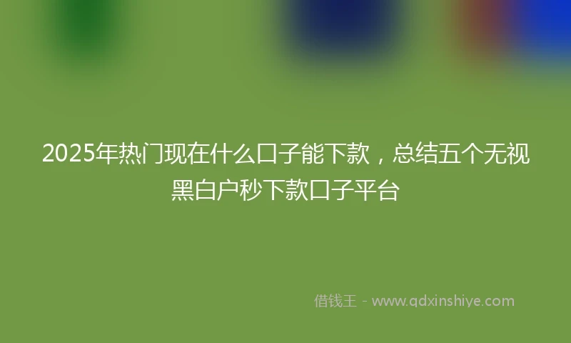 2025年热门现在什么口子能下款，总结五个无视黑白户秒下款口子平台