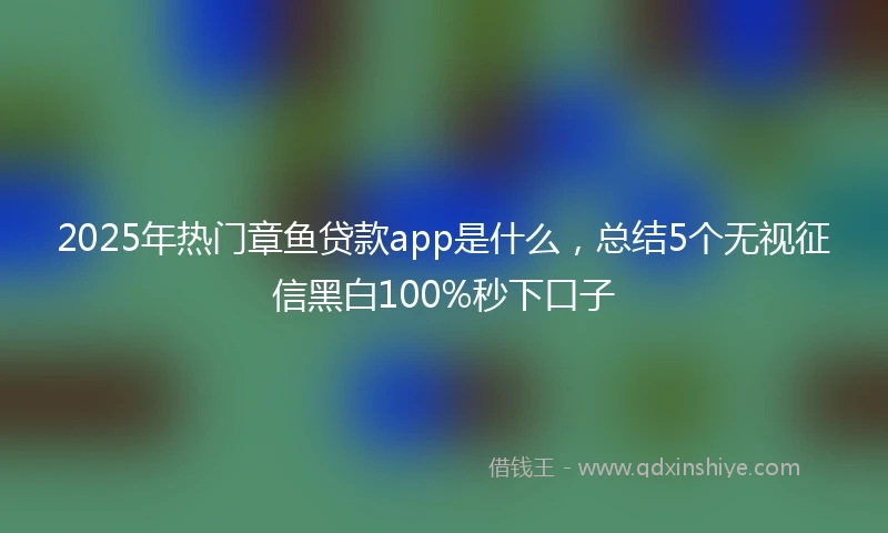 2025年热门章鱼贷款app是什么，总结5个无视征信黑白100%秒下口子