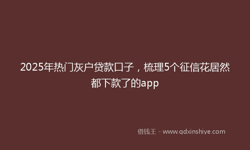 2025年热门灰户贷款口子，梳理5个征信花居然都下款了的app