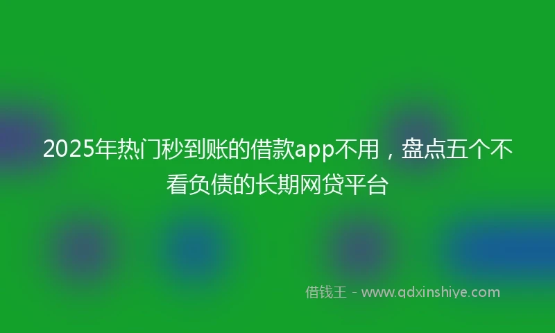 2025年热门秒到账的借款app不用，盘点五个不看负债的长期网贷平台