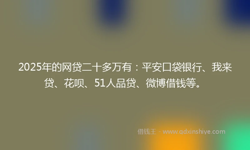 2025年的网贷二十多万有：平安口袋银行、我来贷、花呗、51人品贷、微博借钱等。