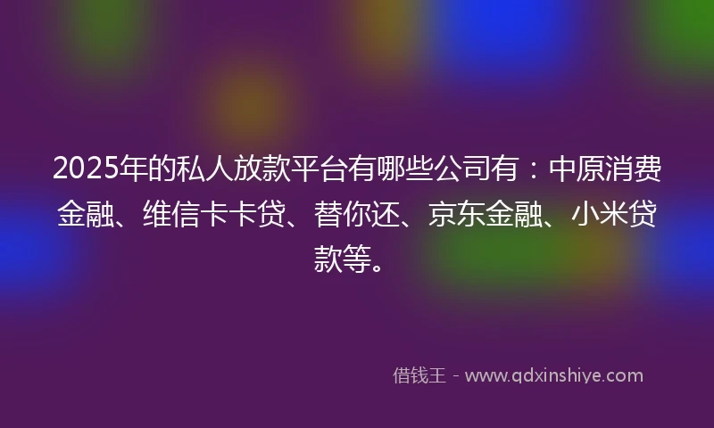 2025年的私人放款平台有哪些公司有：中原消费金融、维信卡卡贷、替你还、京东金融、小米贷款等。