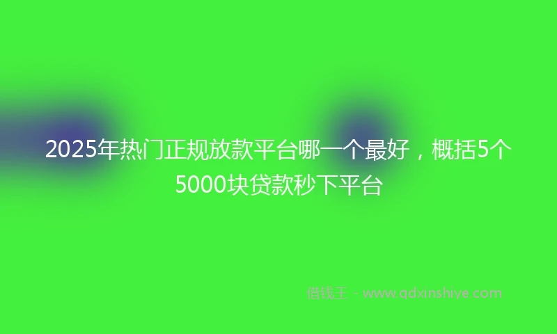 2025年热门正规放款平台哪一个最好，概括5个5000块贷款秒下平台