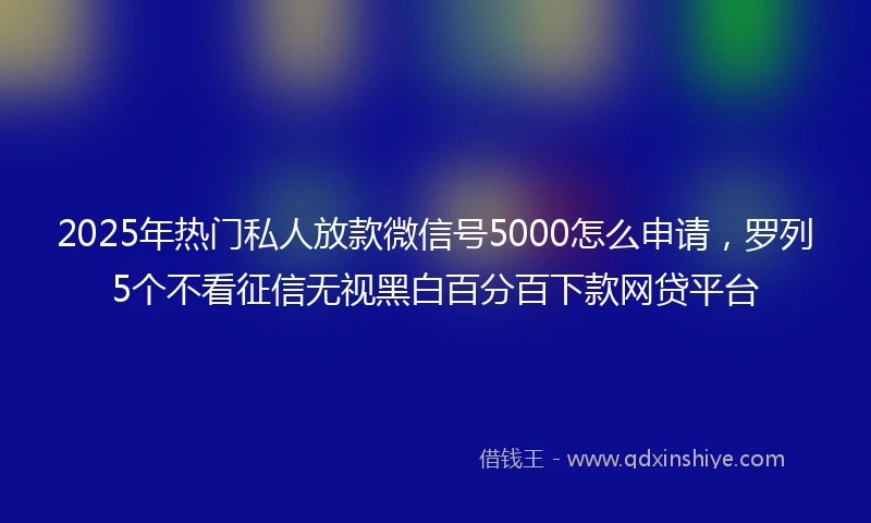 2025年热门私人放款微信号5000怎么申请，罗列5个不看征信无视黑白百分百下款网贷平台