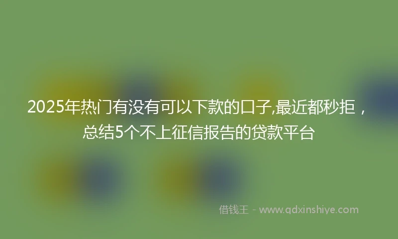 2025年热门有没有可以下款的口子,最近都秒拒，总结5个不上征信报告的贷款平台